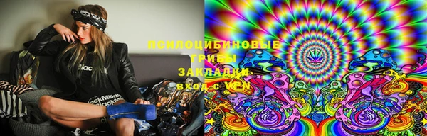 spice Белокуриха