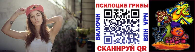 Псилоцибиновые грибы мицелий  магазин продажи   гидра ТОР  Полесск 